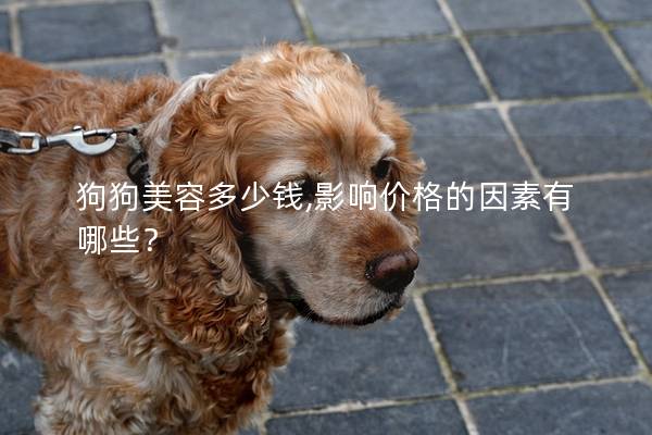 狗狗美容多少钱,影响价格的因素有哪些？