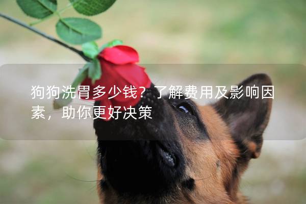 狗狗洗胃多少钱？了解费用及影响因素，助你更好决策