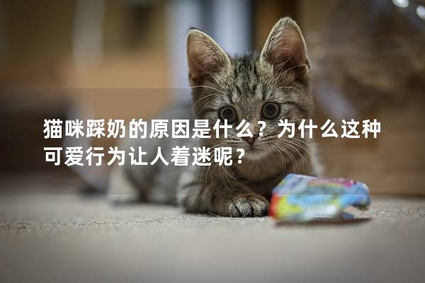 猫咪踩奶的原因是什么？为什么这种可爱行为让人着迷呢？