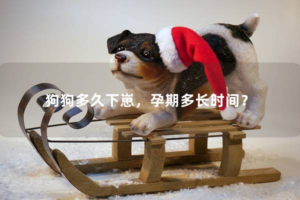 狗狗多久下崽，孕期多长时间？