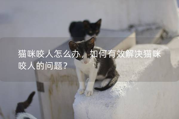 猫咪咬人怎么办，如何有效解决猫咪咬人的问题？