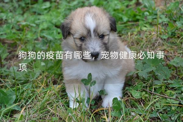 狗狗的疫苗有哪些，宠物健康必知事项