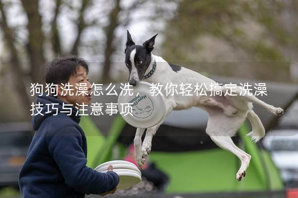 狗狗洗澡怎么洗，教你轻松搞定洗澡技巧与注意事项