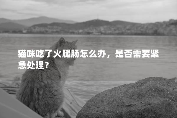 猫咪吃了火腿肠怎么办，是否需要紧急处理？