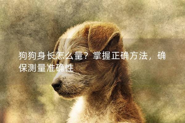 狗狗身长怎么量？掌握正确方法，确保测量准确性