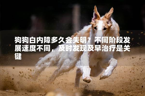 狗狗白内障多久会失明？不同阶段发展速度不同，及时发现及早治疗是关键