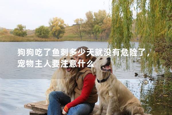 狗狗吃了鱼刺多少天就没有危险了，宠物主人要注意什么