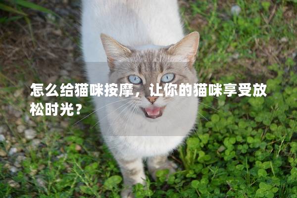 怎么给猫咪按摩，让你的猫咪享受放松时光？