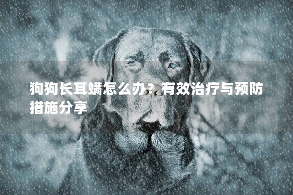 狗狗长耳螨怎么办？有效治疗与预防措施分享