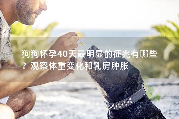 狗狗怀孕40天最明显的征兆有哪些？观察体重变化和乳房肿胀