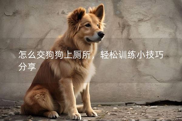 怎么交狗狗上厕所，轻松训练小技巧分享