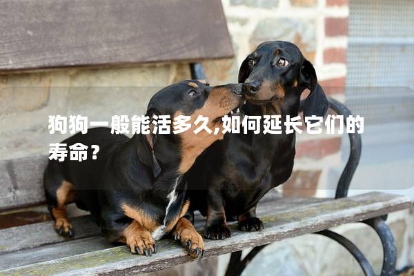 狗狗一般能活多久,如何延长它们的寿命？