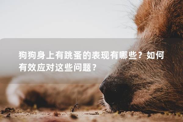 狗狗身上有跳蚤的表现有哪些？如何有效应对这些问题？
