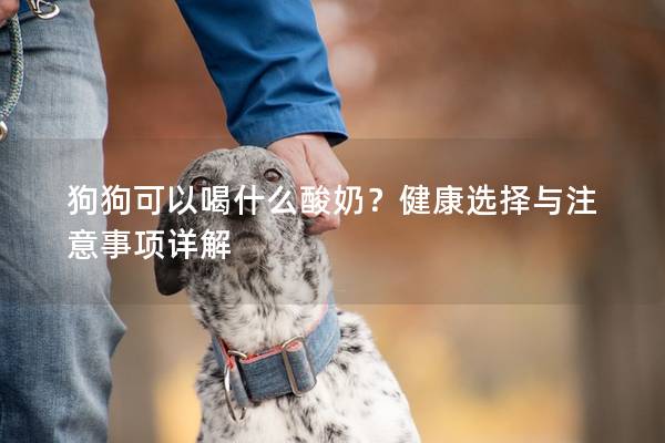 狗狗可以喝什么酸奶？健康选择与注意事项详解