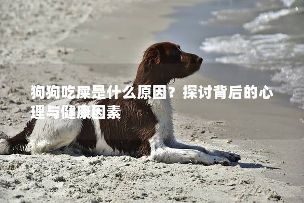 狗狗吃屎是什么原因？探讨背后的心理与健康因素