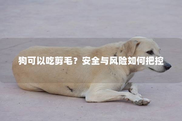 狗可以吃剪毛？安全与风险如何把控