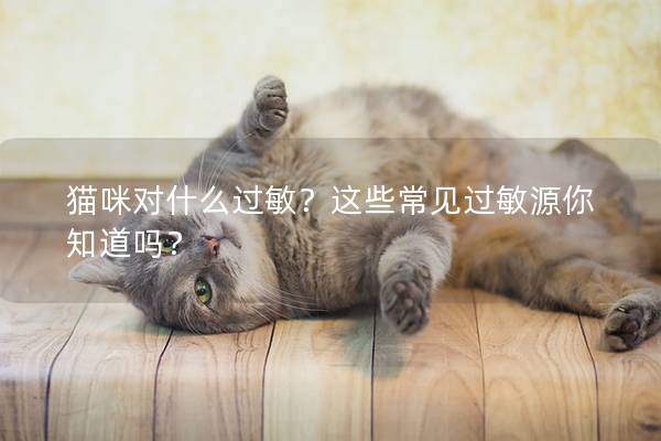 猫咪对什么过敏？这些常见过敏源你知道吗？