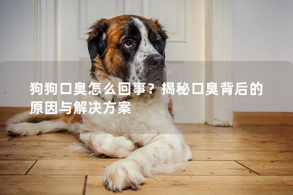 狗狗口臭怎么回事？揭秘口臭背后的原因与解决方案