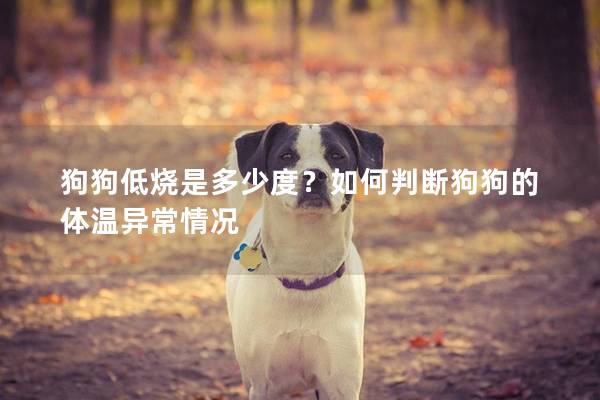 狗狗低烧是多少度？如何判断狗狗的体温异常情况