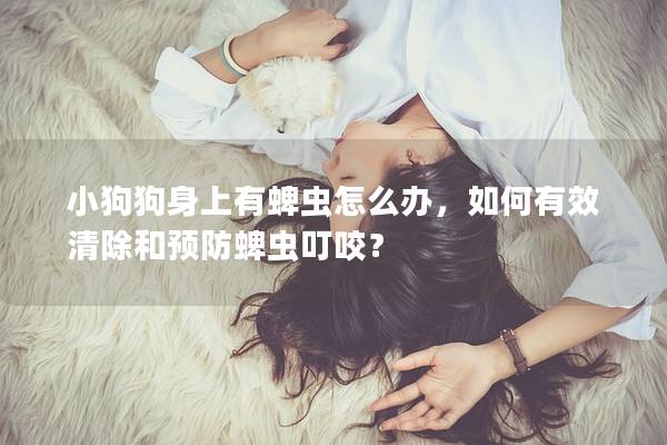 小狗狗身上有蜱虫怎么办，如何有效清除和预防蜱虫叮咬？