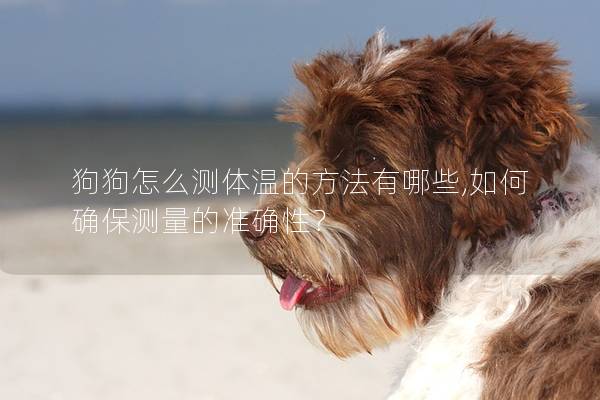狗狗怎么测体温的方法有哪些,如何确保测量的准确性？