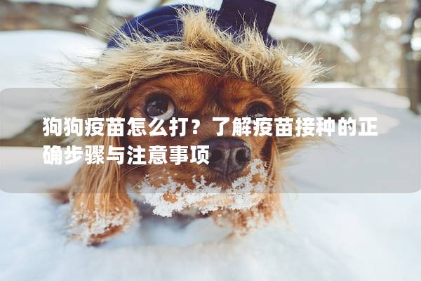 狗狗疫苗怎么打？了解疫苗接种的正确步骤与注意事项