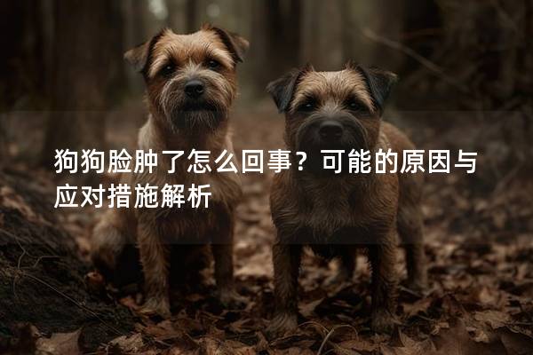 狗狗脸肿了怎么回事？可能的原因与应对措施解析