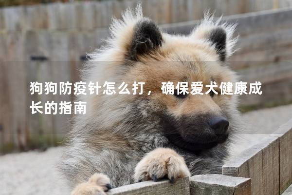 狗狗防疫针怎么打，确保爱犬健康成长的指南
