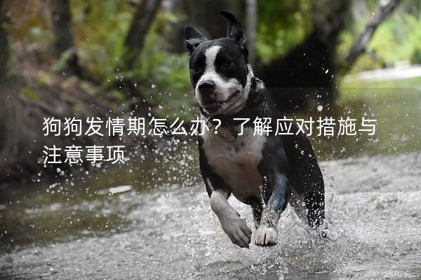 狗狗发情期怎么办？了解应对措施与注意事项