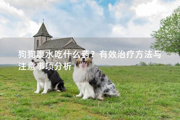 狗狗腹水吃什么药？有效治疗方法与注意事项分析