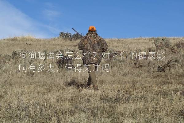 狗狗喝酒会怎么样？对它们的健康影响有多大，值得关注吗