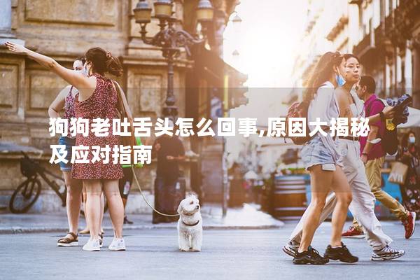 狗狗老吐舌头怎么回事,原因大揭秘及应对指南