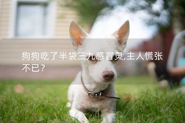 狗狗吃了半袋三九感冒灵,主人慌张不已？
