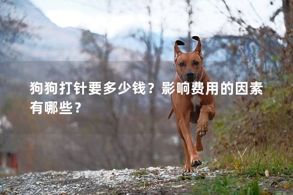 狗狗打针要多少钱？影响费用的因素有哪些？
