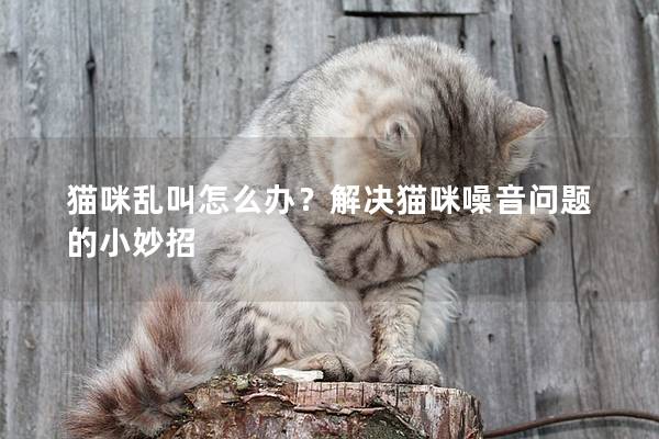 猫咪乱叫怎么办？解决猫咪噪音问题的小妙招