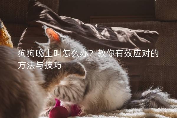 狗狗晚上叫怎么办？教你有效应对的方法与技巧