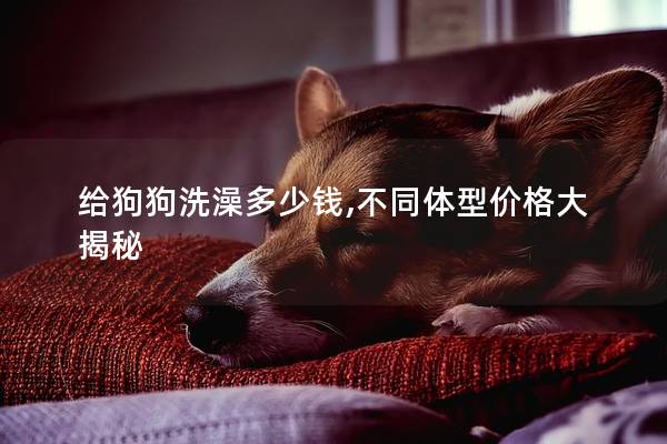 给狗狗洗澡多少钱,不同体型价格大揭秘
