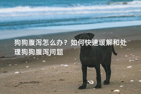 狗狗腹泻怎么办？如何快速缓解和处理狗狗腹泻问题