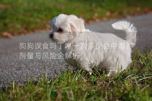 狗狗误食吗丁啉一次多少会中毒？ 剂量与风险全解析