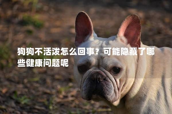 狗狗不活泼怎么回事？可能隐藏了哪些健康问题呢