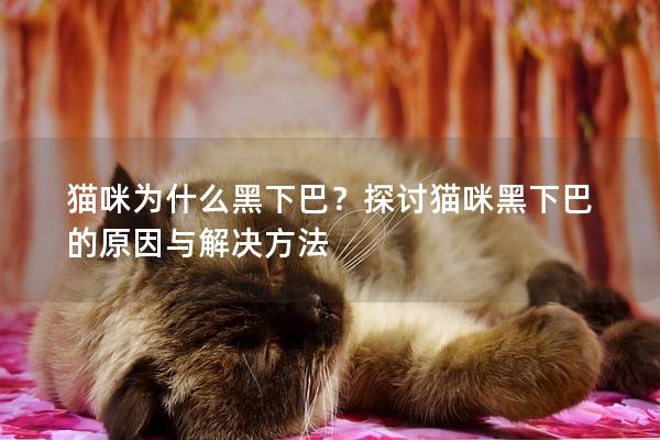 猫咪为什么黑下巴？探讨猫咪黑下巴的原因与解决方法