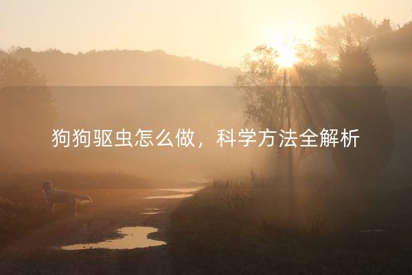 狗狗驱虫怎么做，科学方法全解析