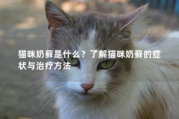 猫咪奶藓是什么？了解猫咪奶藓的症状与治疗方法