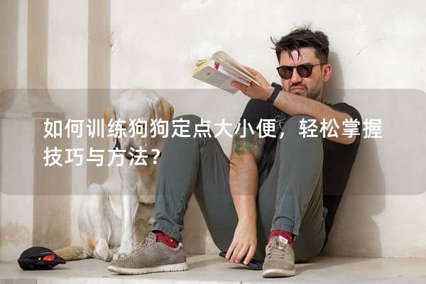 如何训练狗狗定点大小便，轻松掌握技巧与方法？
