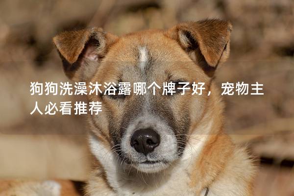 狗狗洗澡沐浴露哪个牌子好，宠物主人必看推荐