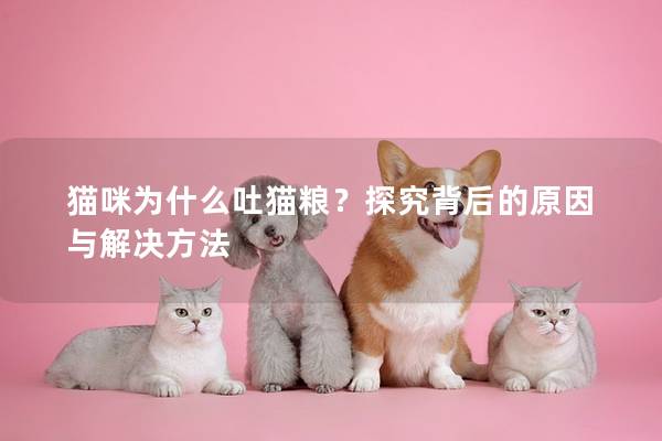 猫咪为什么吐猫粮？探究背后的原因与解决方法