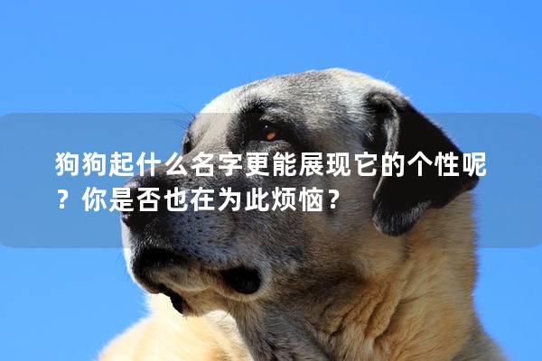 狗狗起什么名字更能展现它的个性呢？你是否也在为此烦恼？