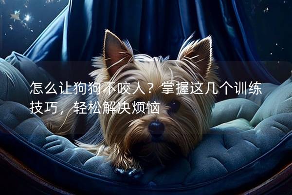 怎么让狗狗不咬人？掌握这几个训练技巧，轻松解决烦恼