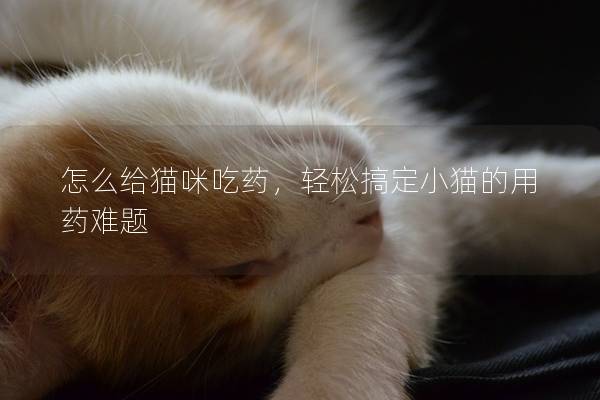 怎么给猫咪吃药，轻松搞定小猫的用药难题