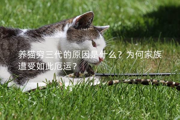 养猫穷三代的原因是什么？为何家族遭受如此厄运？